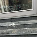 Jack - @jackkurtil - Instagram