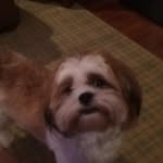Jack Kurtz - @jackkurtz10 - Instagram