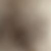 Jack_Kushner - @jack_kushner - TikTok