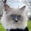 Jackkushner - @jack.kushner - TikTok