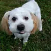 jacklafferty445 - @jacklafferty08 - TikTok