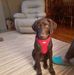 Jack Laird - Facebook
