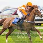 Jack Lander - @jlphoto_horse - Instagram