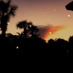 Jack Landis Photograpy - @landisphtos - Instagram