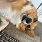Jack lannon - @lolzipoh - Instagram