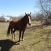 Jack Laroche - Facebook