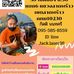Jack Laser - Facebook