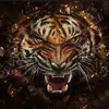 jacklaub445 - @jacksonlaub620 - TikTok