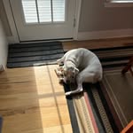 Jack Layne - @jacklayne1969 - Instagram