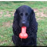 @jack_leaked_photos - Instagram