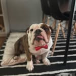Jack G Lefebvre - @jackglefebvre - Instagram