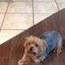 Jack Lefebvre - Facebook