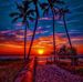 Jackie Leibowitz - Facebook