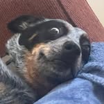 Jack Lemon - @jalemon_1 - Instagram