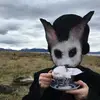 savingforpet1 - @jacklemons729 - TikTok