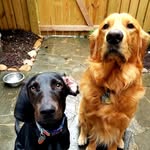 Jack & Lenny Bean - @jackandlennybean - Instagram