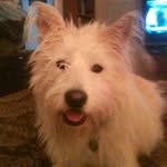 Jack Lent - @jacklent - Instagram