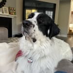 Jack Lent - @jacksonl_07 - Instagram