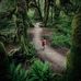 Jack Lenz - Facebook