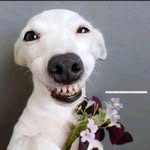 JACKLEONSON - @jackleonson78 - Instagram