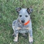 Jack Leslie - Facebook