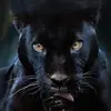 Jack Level - @jacklevel79 - TikTok