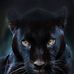 Jack Level - Facebook