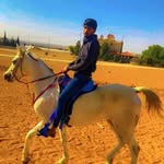 Zaied Sindhi - @jacklever.jacklever - Instagram