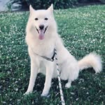 Jack Levick - @levick09 - Instagram