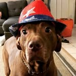 I miss you Libby - @jack_libby_and_theyre_human - Instagram