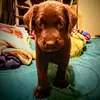Jackson liles - @jacksonhunterliles - TikTok