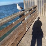 Jack Lindblom - @discobarrack - Instagram