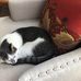 Jackie Lindblom - Facebook