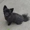 jackilindquistbol - @jackilindquistbol - TikTok