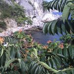 Jackling - @jacklingleywe - Instagram