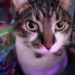 jacklintner - @jack.lintner - Instagram