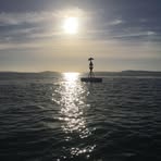 Jack Linthwaite - Facebook