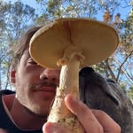 Jack lions - @jacklions__ - Instagram