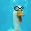 jack.lipe - @jacklipe - TikTok