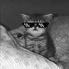 JACKCLIPPS - @jackkcl - TikTok