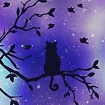 JACK LIPTON - @everyali - Instagram