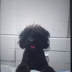 Jack Lira Da Silva Silva - @jackliradasilva - Instagram