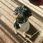 jack William littlejohn - @jackiejackattack2000 - Instagram