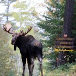 Hungry Jack Lodge - @hungryjacklodge - Instagram