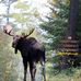Hungry Jack Lodge - Facebook
