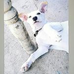 Jack - @jack__lodge - Instagram