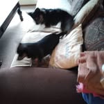 jack - @jack_logsdon_ - Instagram