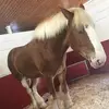 Jack Long - @jacklong - TikTok