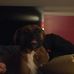 Jack Longfellow - Facebook