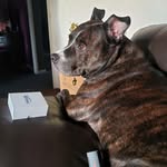 jack longworth - @mooresamantha208 - Instagram